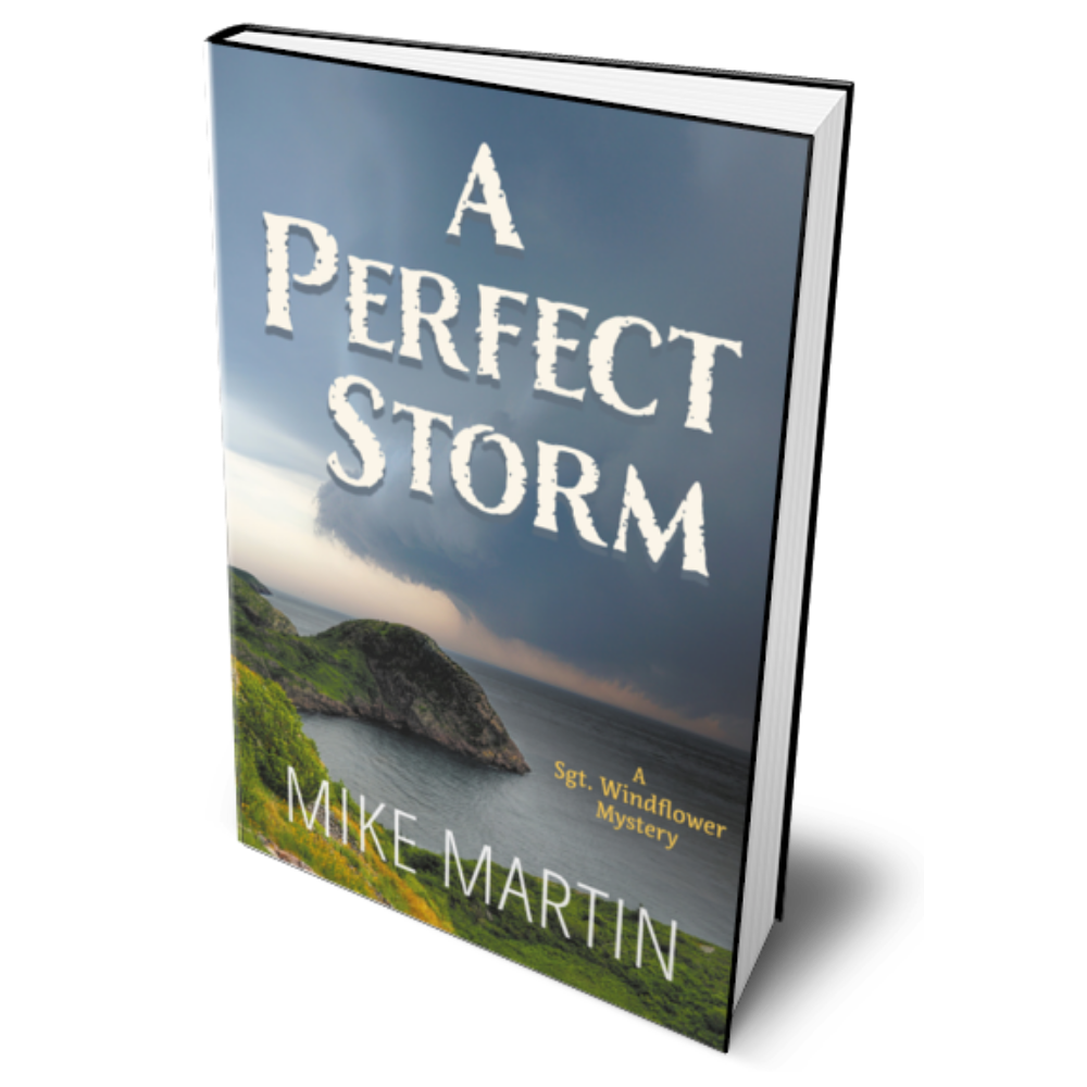 A Perfect Storm by Mike Martin