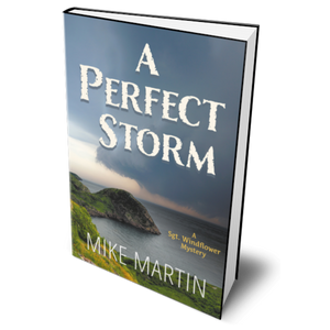 A Perfect Storm by Mike Martin