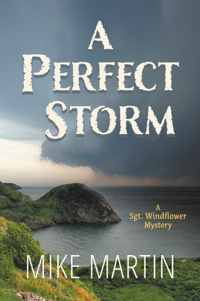 A Perfect Storm by Mike Martin (Print Book) - Ottawa Press and Publishing