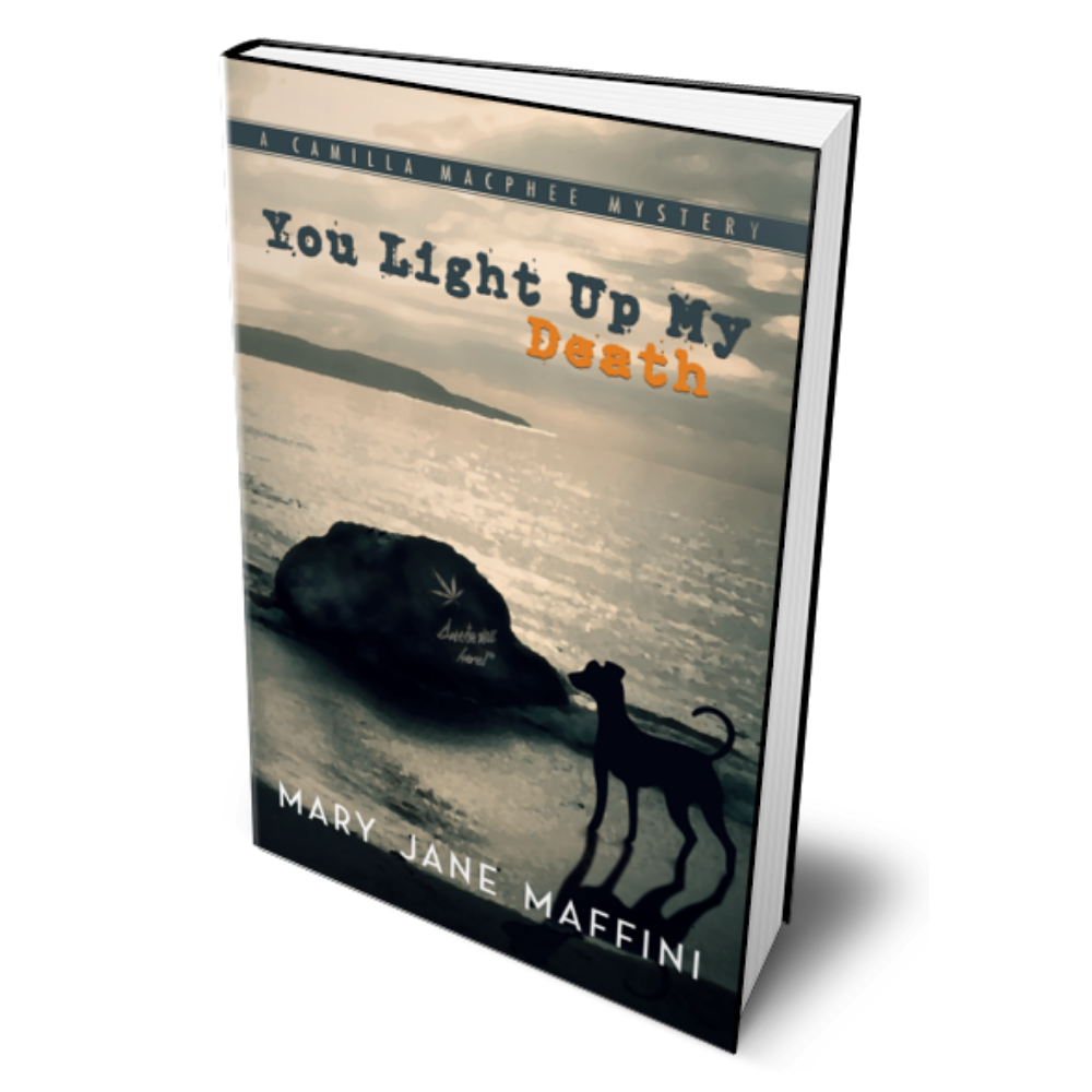 YOU LIGHT UP MY DEATH by Mary Jane Maffini